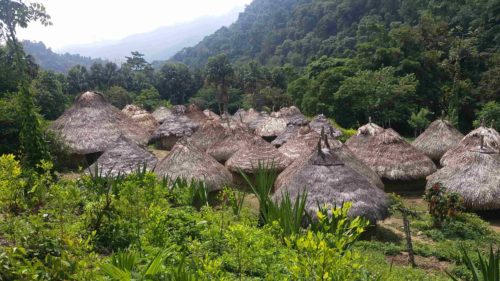 Toits des huttes indigène d'un village