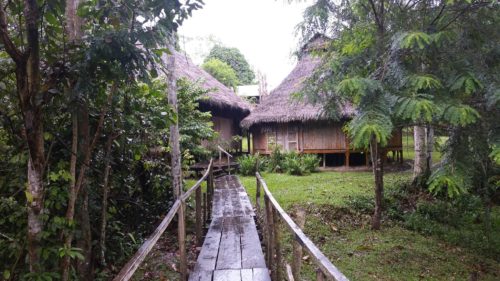 Musée de la réserve Natumata